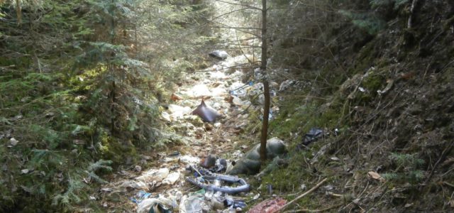 Главу Кудымкарского района прокурор обязал убрать свалки в лесу