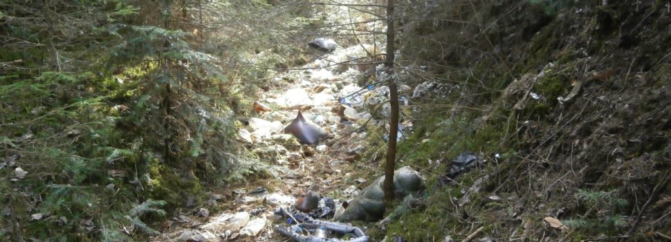 Главу Кудымкарского района прокурор обязал убрать свалки в лесу