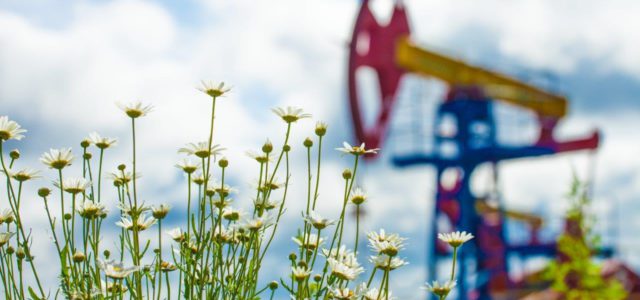 Как в Коми округе нашли нефть
