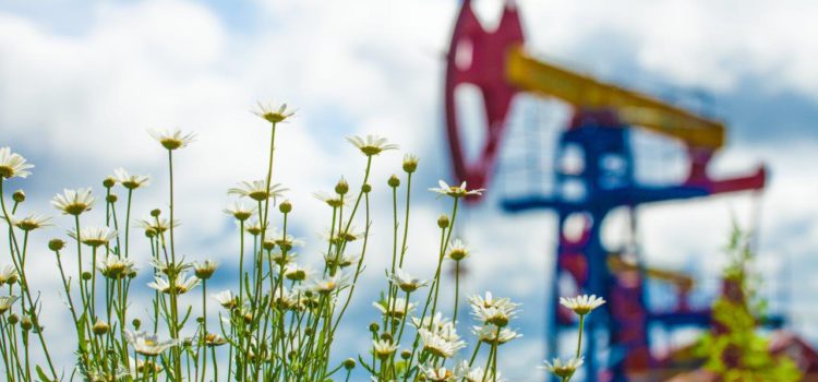 Как в Коми округе нашли нефть