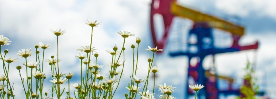 Как в Коми округе нашли нефть