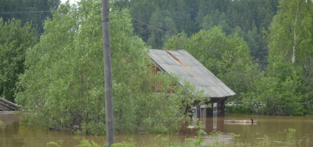 Кува, Юньга, Самково, Усть-Силайка. Список деревень и сел в Коми округе, которые топит, растет