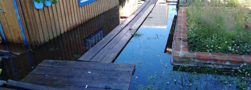 Вода в Гайнском районе заходит в дома. Вчера власти ввели режим ЧС