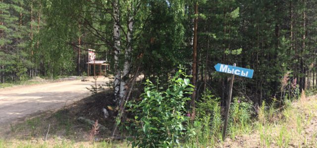 Как люди в Гайнском районе неделю не могли выбраться из поселка