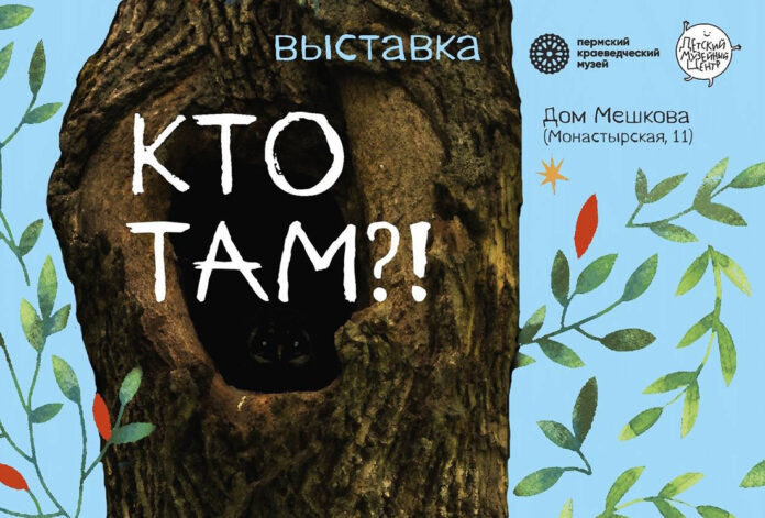 Выставка