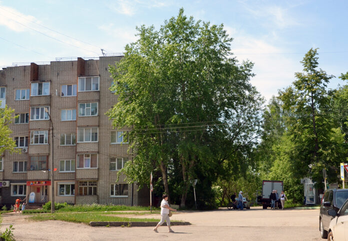 Тополь Кудымкар