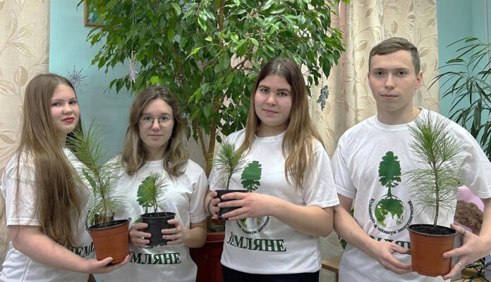 КЛТ саженцы