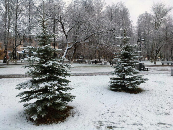 снег