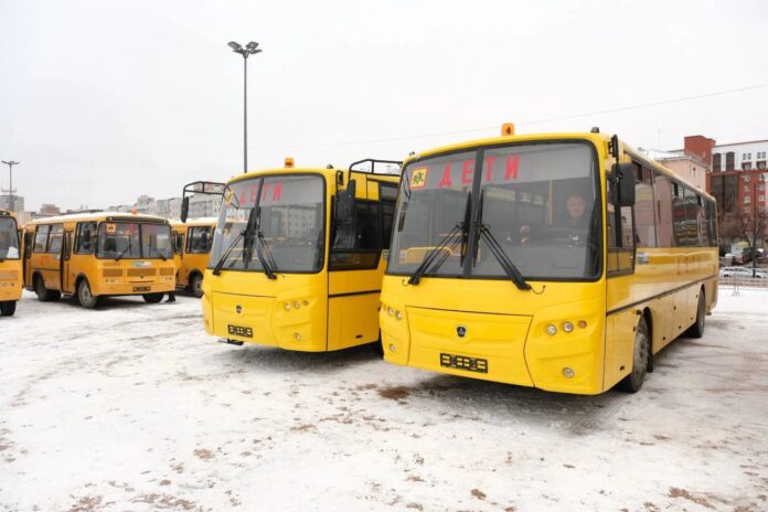 автобусы