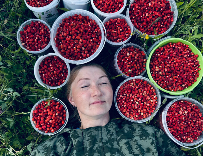 земляника Лопатина