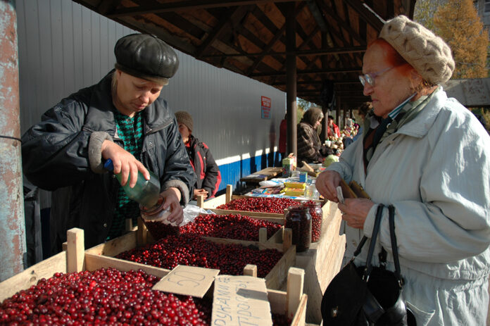 Клюква