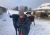 Под Верх-Иньвой на мужчину напал бык