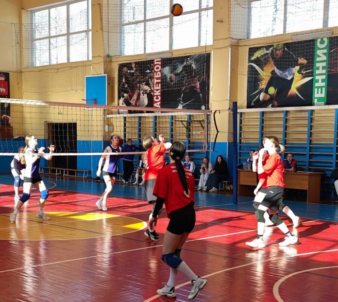 первенство по волейболу