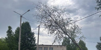 В Пермском крае бушует шквалистый ветер