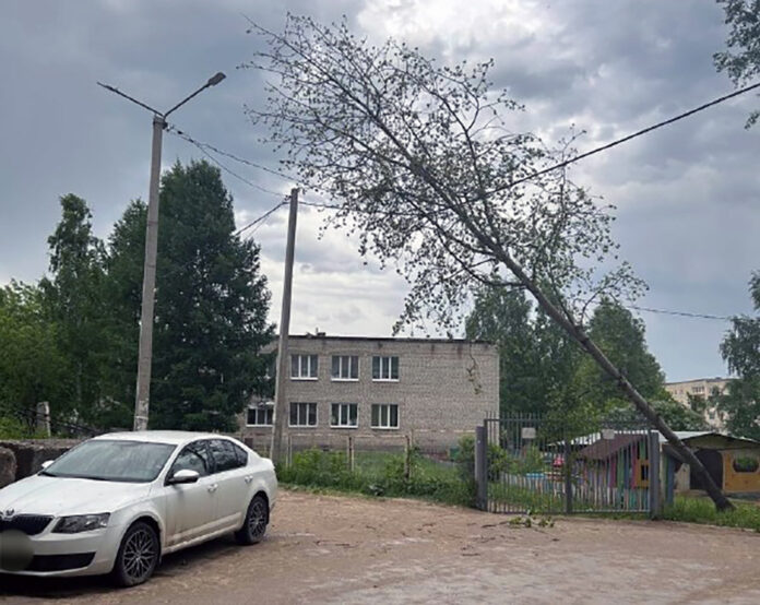 Ветер упавшее дерево