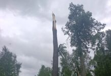 Из-за вчерашнего ураганного ветра без электроэнергии осталась Пожвинская территория