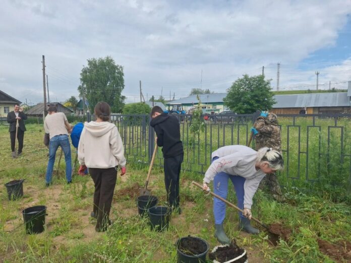 В Кочёвском районе высадили деревья