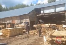 Полиция выявила нелегальных рабочих из Китая на пилорамах Кудымкара