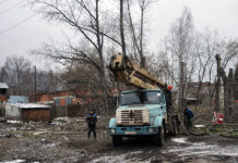 В Кудымкаре запланировали спил 100 опасных деревьев