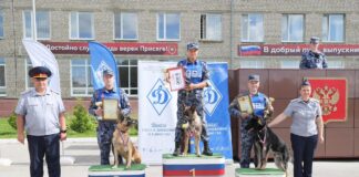 Инструктор‑кинолог из кудымкарского СИЗО завоевал призовое место на чемпионате в Перми