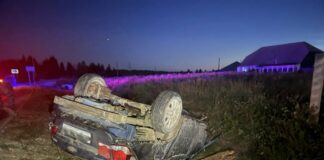 В Гайнском районе произошло смертельное ДТП