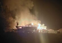 В ночном пожаре в Кочёвском районе сгорел дом, погибли домашние животные