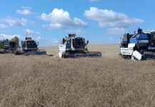 Уборочная кампания в Кудымкарском районе подходит к финишу